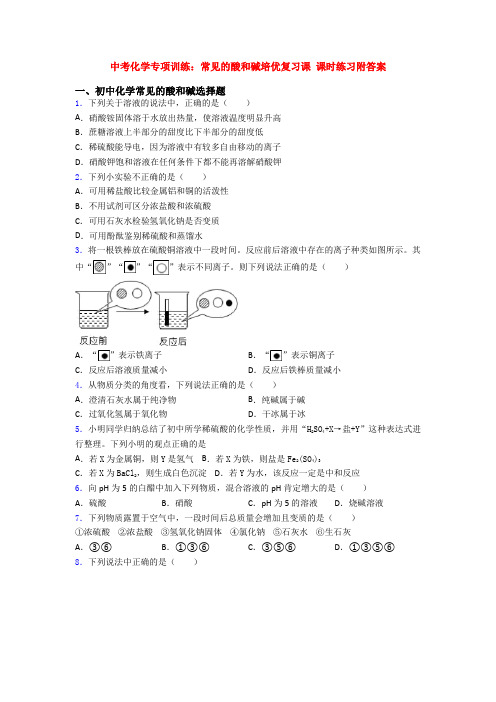 中考化学专项训练：常见的酸和碱培优复习课 课时练习附答案