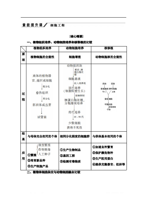 2019-2020学年人教版生物选修三讲义：专题2 素能提升课 细胞工程 