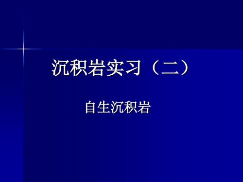 矿物学-10-11沉积岩实习(二)