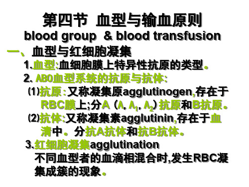 八年级生物输血与血型9