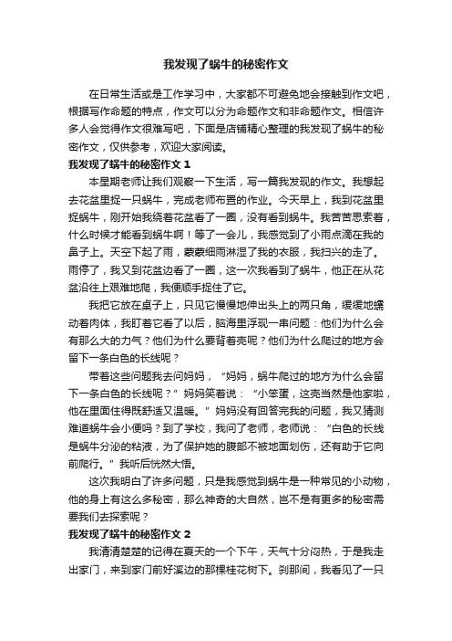 我发现了蜗牛的秘密作文