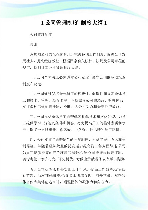 公司管理制度 制度大纲完整篇.doc