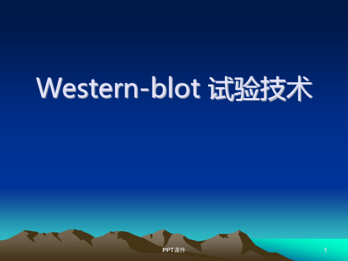 western blot技术  ppt课件