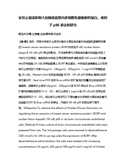 柴贝止痫汤影响大鼠脑微血管内皮细胞乳腺癌耐药蛋白、核因子p65表达的研究