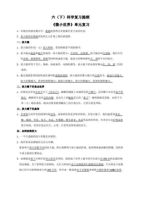 六(下)科学复习提纲