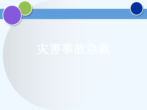 灾害事故急救[可修改版ppt]