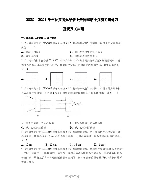 2022-2023学年甘肃省九年级上册物理期中分项专题练习—透镜及其应用(含解析)