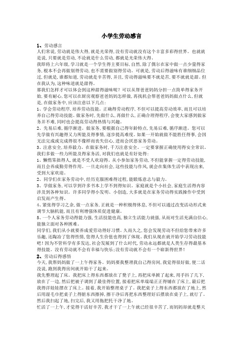 小学生劳动感言