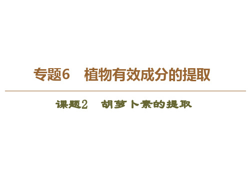 人教版高中生物选修一课件专题6课题2胡萝卜素的提取