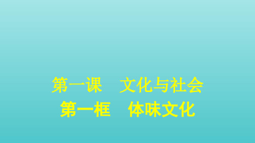 高中政治第一单元文化与生活第一课第一框体味文化课件新人教版必修