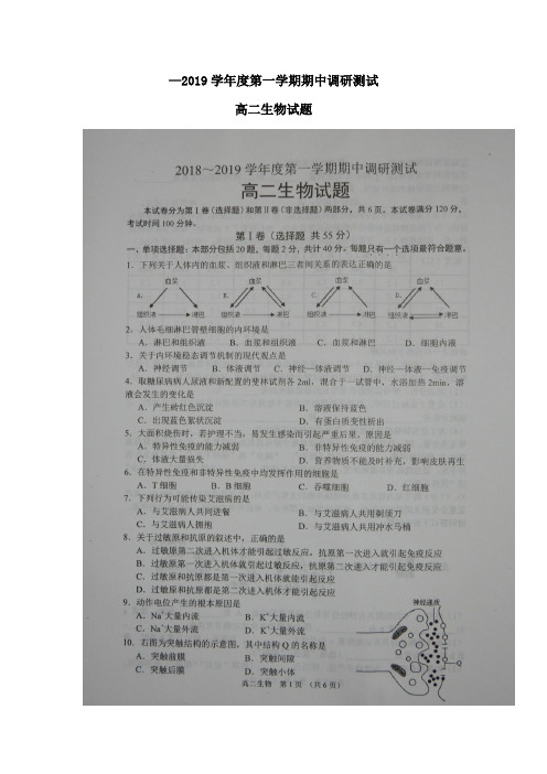 2018-2019学年高二生物上学期期期中调研测试试题(扫描版)