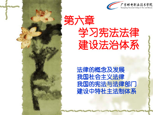 王辉2015第六章学习宪法法律建设法治体系