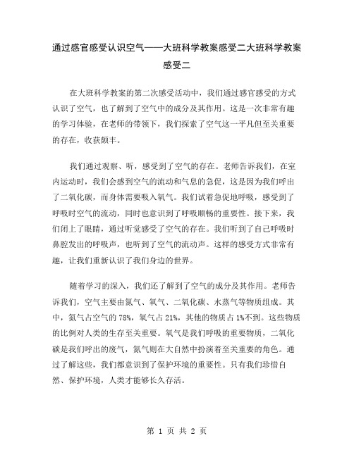 通过感官感受认识空气——大班科学教案感受二