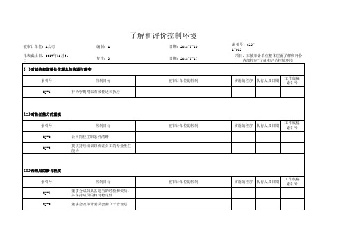 了解和评价控制环境-模板