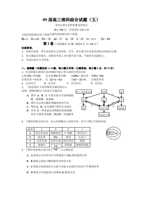 09届高三理科综合试题