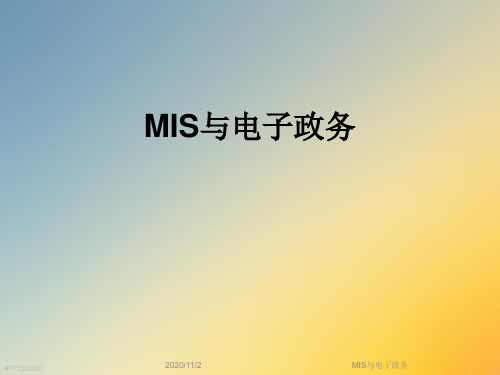 MIS与电子政务