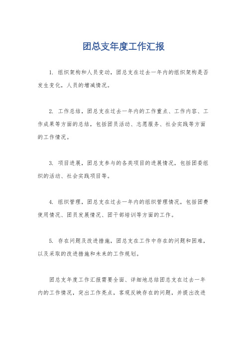 团总支年度工作汇报