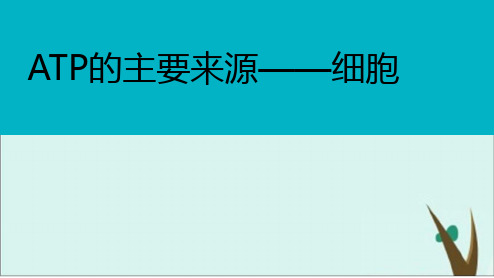 人教版生物必修一 第五章 第三节 ATP的主要来源—细胞呼吸 课件完美版
