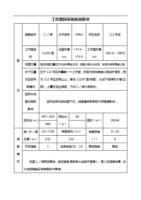 11201面回采地质说明书(地质部分)