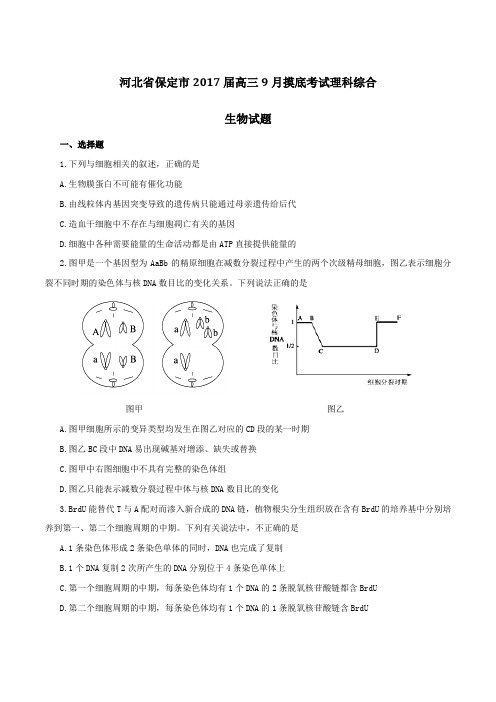 【全国市级联考】河北省保定市2017届高三9月摸底考试理综生物(原卷版)