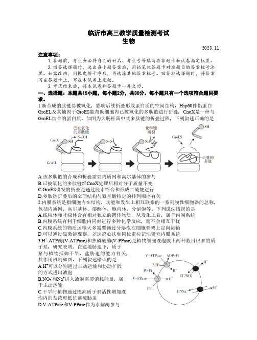 山东省临沂市2024届高三11月教学质量检测考试 生物试题(含答案解析)