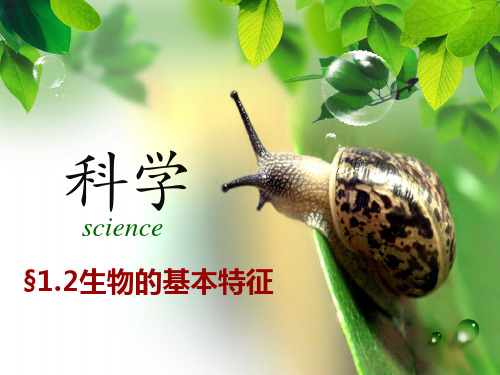 生物的基本特征(PPT课件(初中科学)24张)