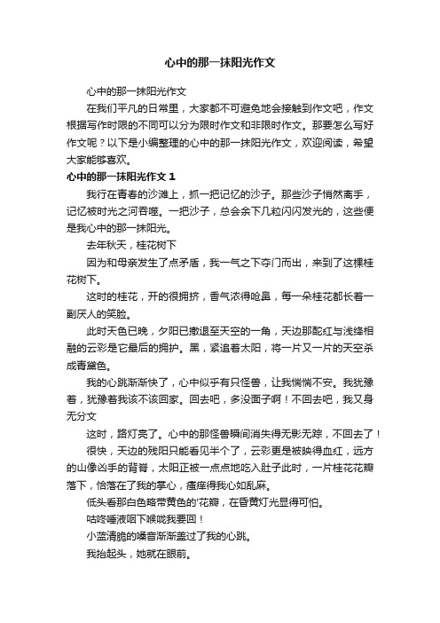 心中的那一抹阳光作文