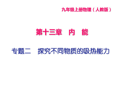 探究不同物质的吸热能力