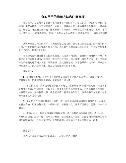 金心吊兰的养殖方法和注意事项