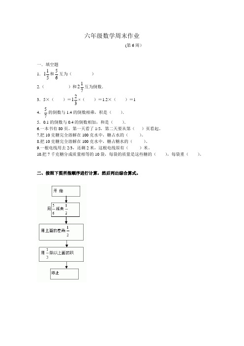 六年级数学周末作业