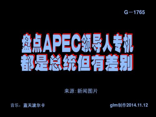 盘点APEC领导人专机 -G1765 (高力民141113N)