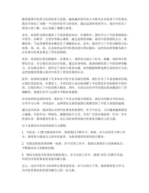 中医学习培训班个人感想