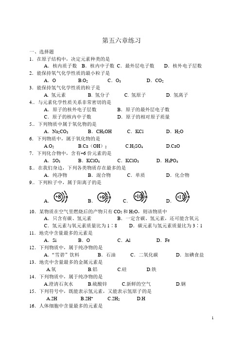 第五六章练习   元素分子原子离子