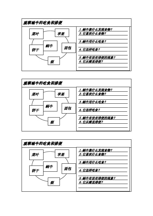 蜗牛二观察表