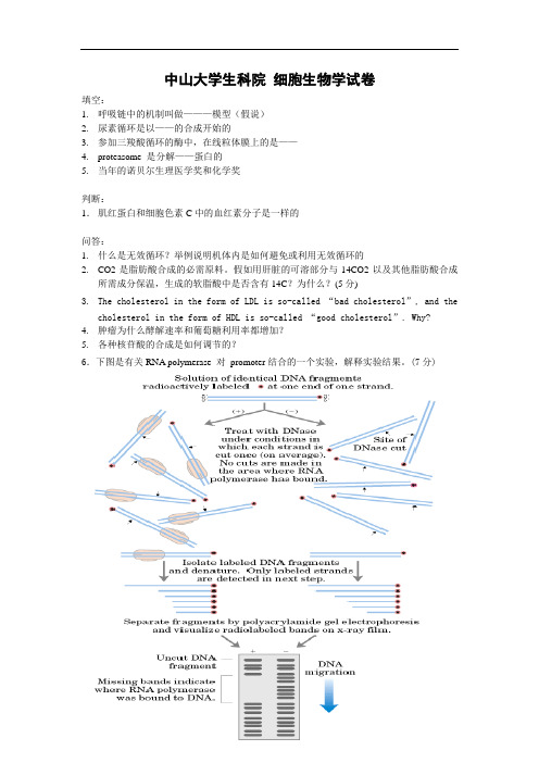 中山大学生科院 细胞生物学试卷 (11)