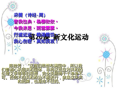 高中历史:6.20《新文化运动与马克思主义的传播》2课件(华东师大版第五分册)