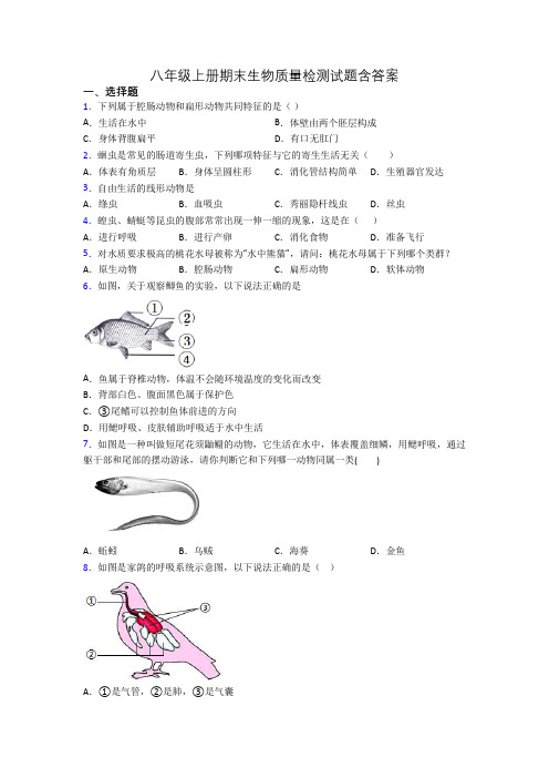 八年级上册期末生物质量检测试题含答案