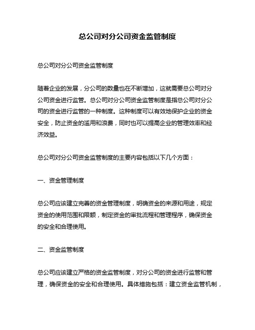 总公司对分公司资金监管制度