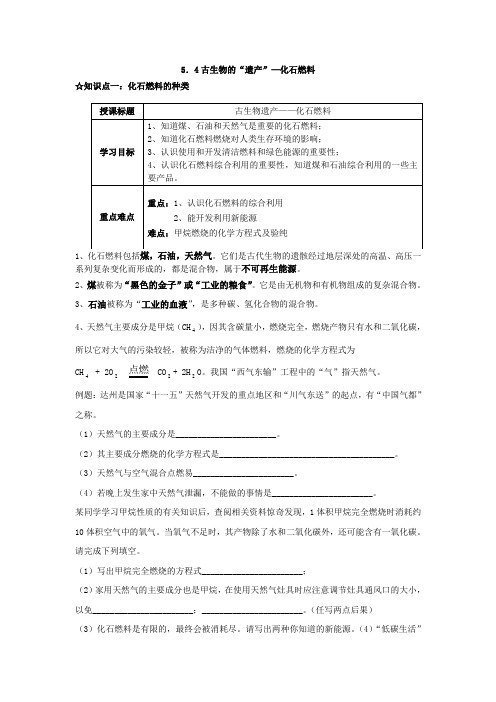 5.4古生物的遗产—化石燃料