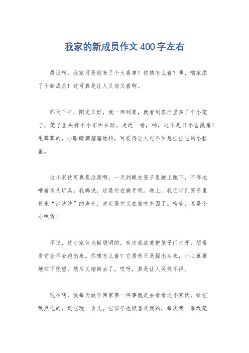 我家的新成员作文400字左右