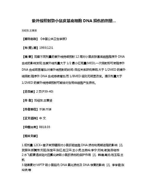 紫外线照射致小鼠皮基底细胞DNA损伤的剂量...