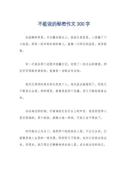 不能说的秘密作文300字