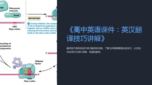 《高中英语课件：英汉翻译技巧讲解》