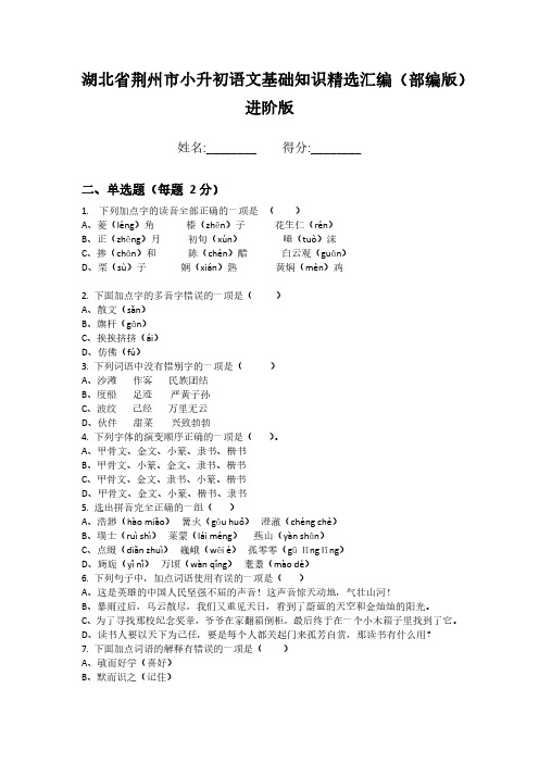 湖北省荆州市小升初语文基础知识精选汇编(部编版)进阶版