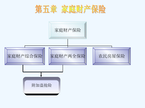 家庭财产保险课件