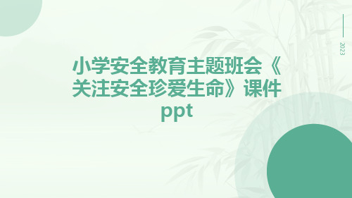 小学安全教育主题班会《关注安全珍爱生命》课件ppt