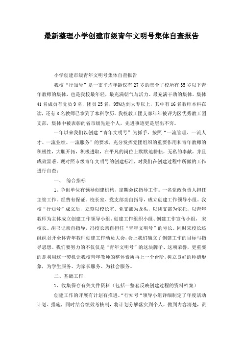 最新整理小学创建市级青年文明号集体自查报告.docx