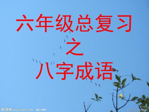 六年级总复习之八字成语