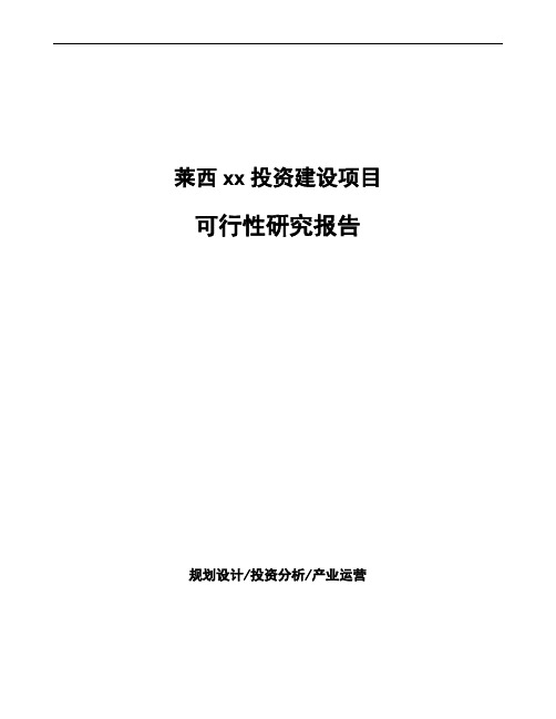 莱西如何编写可行性研究报告