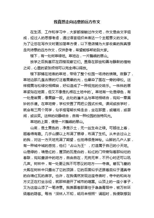 我真想走向诗意的远方作文